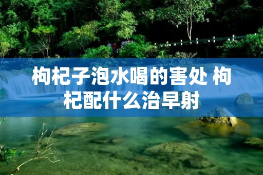 枸杞子泡水喝的害处 枸杞配什么治早射