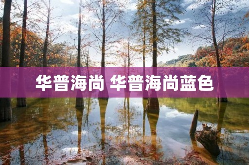华普海尚 华普海尚蓝色 华普海尚 华普海尚蓝色