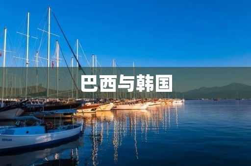 巴西与韩国:两个文化的交融 巴西与韩国:两个文化的交融