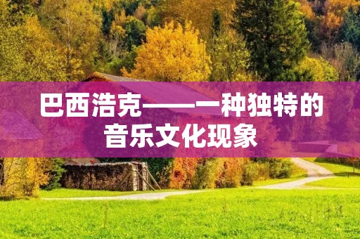 巴西浩克——一种独特的音乐文化现象