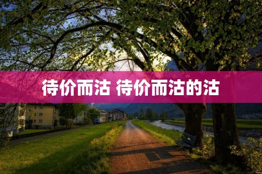 待价而沽 待价而沽的沽
