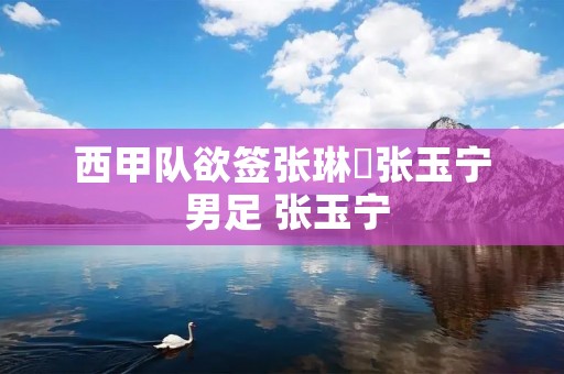 西甲队欲签张琳芃张玉宁 男足 张玉宁