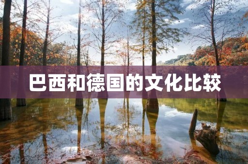 巴西和德国的文化比较 巴西和德国的文化比较