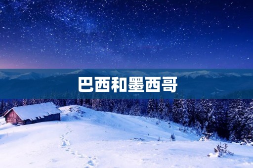 巴西和墨西哥：两个文化大国的比较