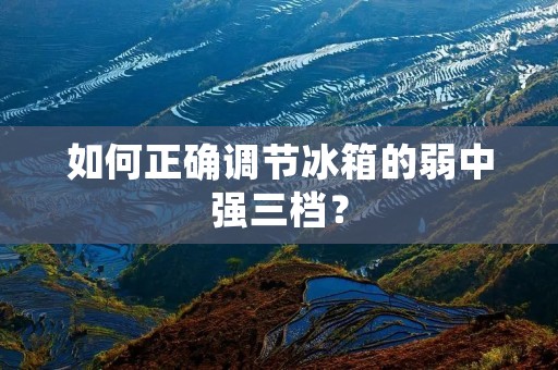 如何正确调节冰箱的弱中强三档? 如何正确调节冰箱的弱中强三档?
