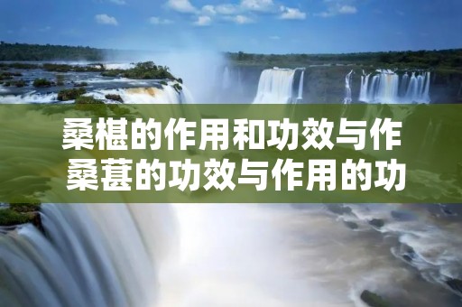 桑椹的作用和功效与作 桑葚的功效与作用的功能与主治