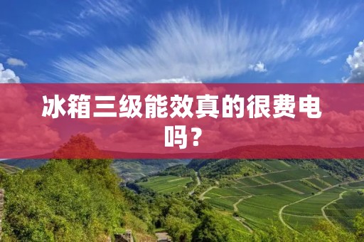 冰箱三级能效真的很费电吗？