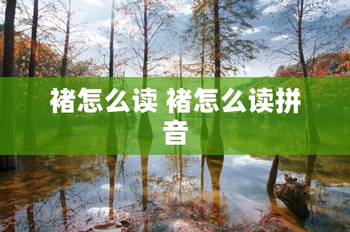 褚怎么读 褚怎么读拼音
