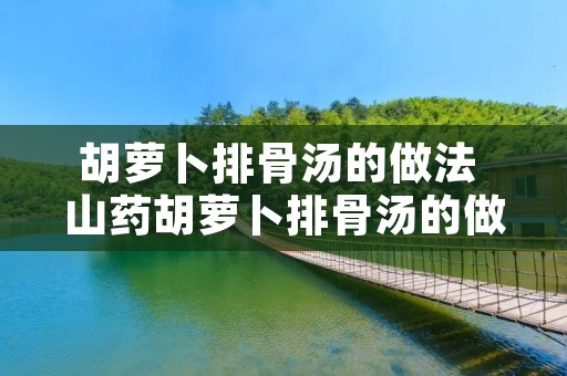 胡萝卜排骨汤的做法 山药胡萝卜排骨汤的做法