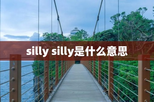 silly silly是什么意思
