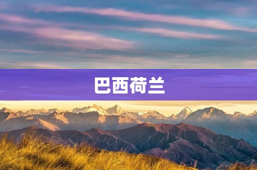 巴西荷兰：两个国度的交汇点