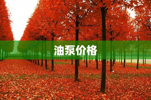 油泵价格:了解不同类型油泵的价格 油泵价格:了解不同类型油泵的价格