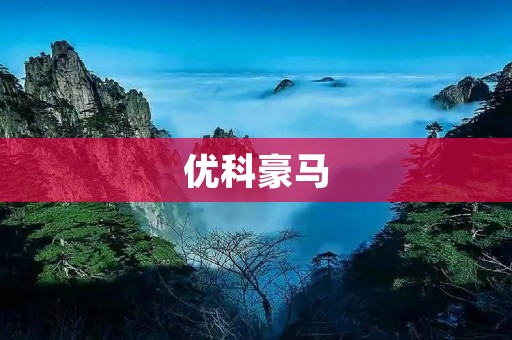 优科豪马:领先的汽车零部件供应商 优科豪马:领先的汽车零部件供应商