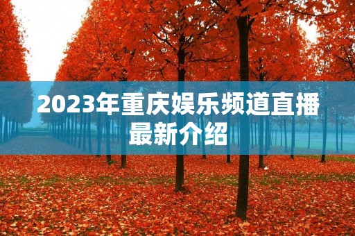 2023年重庆娱乐频道直播最新介绍
