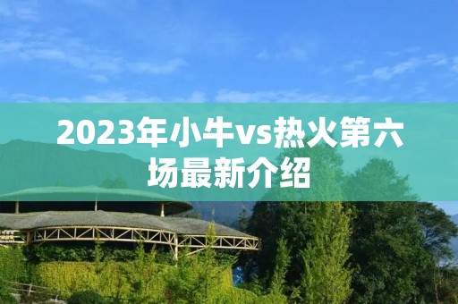2023年小牛vs热火第六场最新介绍