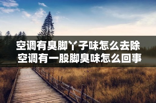 空调有臭脚丫子味怎么去除 空调有一股脚臭味怎么回事 空调有臭脚丫子味怎么去除 空调有一股脚臭味怎么回事