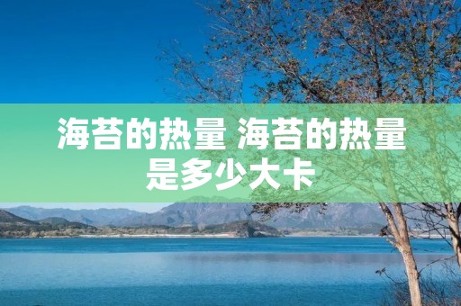 海苔的热量 海苔的热量是多少大卡