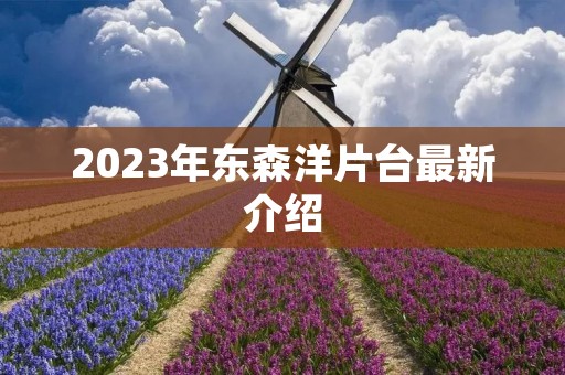 2023年东森洋片台最新介绍