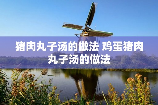 猪肉丸子汤的做法 鸡蛋猪肉丸子汤的做法 猪肉丸子汤的做法 鸡蛋猪肉丸子汤的做法