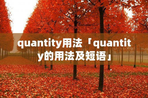 quantity用法「quantity的用法及短语」