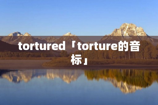 tortured「torture的音标」 tortured「torture的音标」