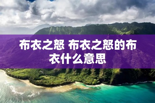 布衣之怒 布衣之怒的布衣什么意思