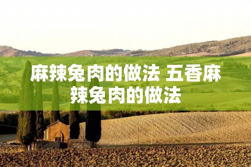 麻辣兔肉的做法 五香麻辣兔肉的做法