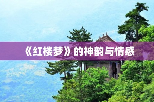 《红楼梦》的神韵与情感