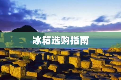 冰箱选购指南:实用性好的款式有哪些? 冰箱选购指南:实用性好的款式有哪些?