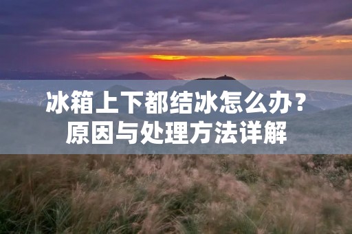 冰箱上下都结冰怎么办？原因与处理方法详解