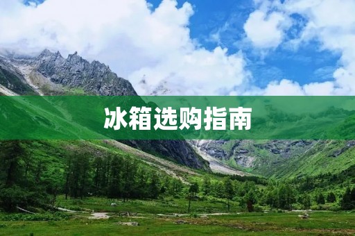 冰箱选购指南:哪个品牌更好? 冰箱选购指南:哪个品牌更好?