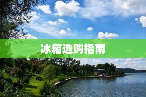 冰箱选购指南:如何挑选一款好的冰箱? 冰箱选购指南:如何挑选一款好的冰箱?