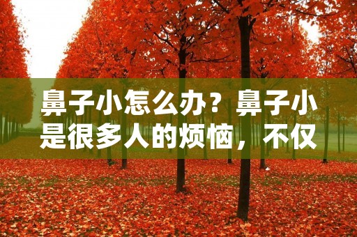 鼻子小怎么办?鼻子小是很多人的烦恼,不仅影响面部比例,还会影响整体形象。那么,有没有方法可以让鼻子看起来更加立体、丰满呢?下面,就让我们来一起了解一些方法和技巧吧! 鼻子小怎么办?鼻子小是很多人的烦恼,不仅影响面部比例,还会影响整体形象。那么,有没有方法可以让鼻子看起来更加立体、丰满呢?下面,就让我们来一起了解一些方法和技巧吧!