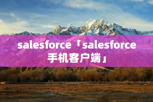 salesforce「salesforce手机客户端」