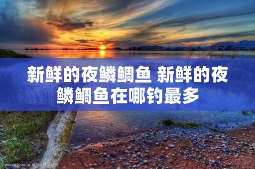 新鲜的夜鳞鲷鱼 新鲜的夜鳞鲷鱼在哪钓最多