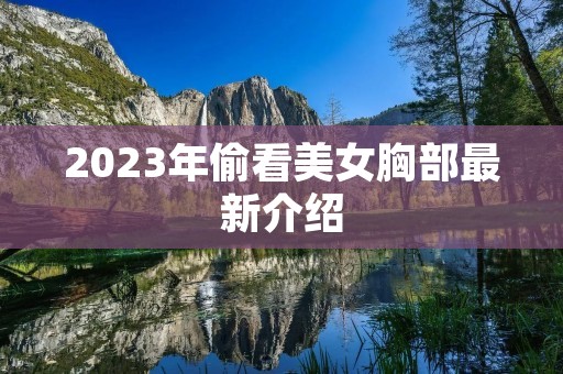 2023年偷看美女胸部最新介绍