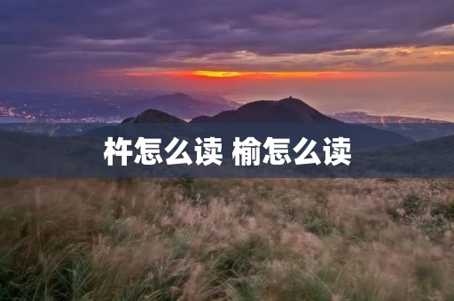 杵怎么读 榆怎么读