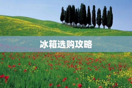 冰箱选购攻略:如何选择最适合自己的品牌? 冰箱选购攻略:如何选择最适合自己的品牌?