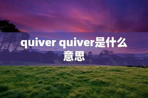 quiver quiver是什么意思