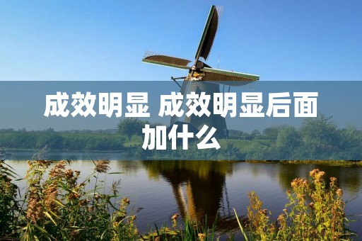 成效明显 成效明显后面加什么