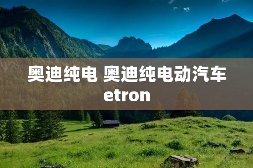 奥迪纯电 奥迪纯电动汽车etron