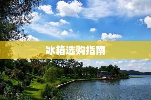 冰箱选购指南:如何选择省电又好用的品牌? 冰箱选购指南:如何选择省电又好用的品牌?