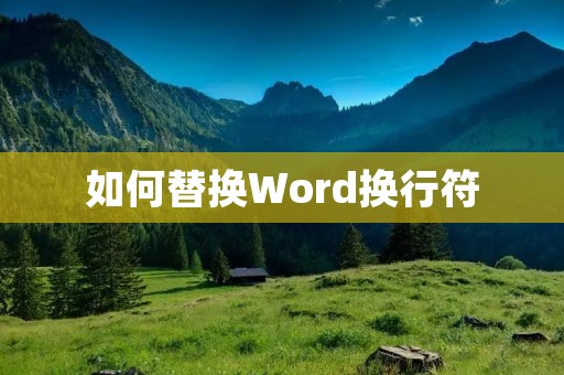如何替换Word换行符