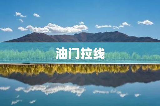油门拉线：汽车引擎动力的关键