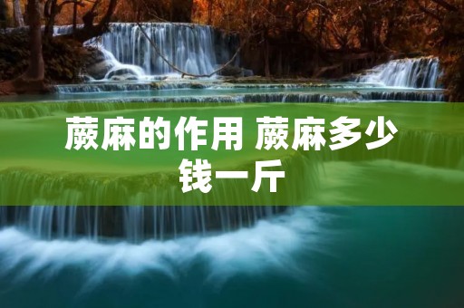 蕨麻的作用 蕨麻多少钱一斤