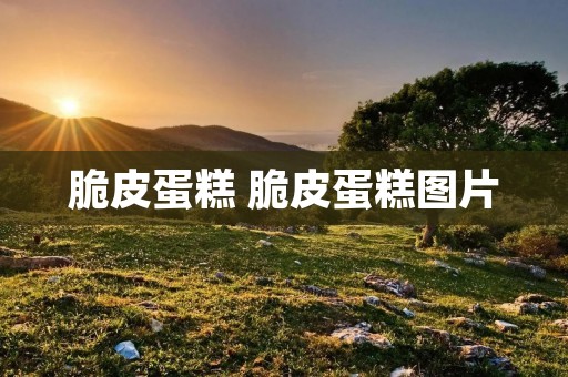 脆皮蛋糕 脆皮蛋糕图片