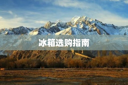 冰箱选购指南：哪些品牌质量最好？