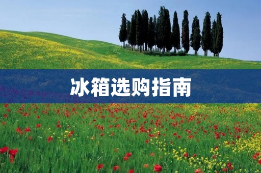 冰箱选购指南:如何选择性价比高的品牌? 冰箱选购指南:如何选择性价比高的品牌?