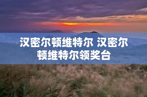 汉密尔顿维特尔 汉密尔顿维特尔领奖台 汉密尔顿维特尔 汉密尔顿维特尔领奖台
