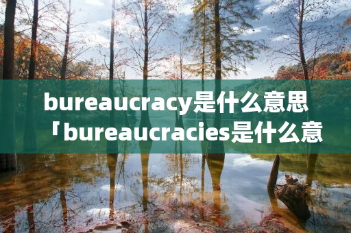bureaucracy是什么意思「bureaucracies是什么意思」
